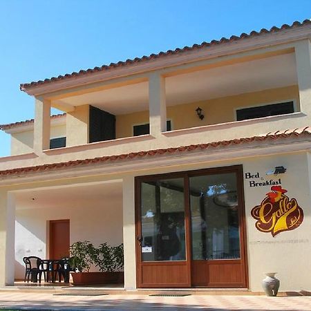 Gallo Spot Hotel ซาน เตโอโดโร ภายนอก รูปภาพ